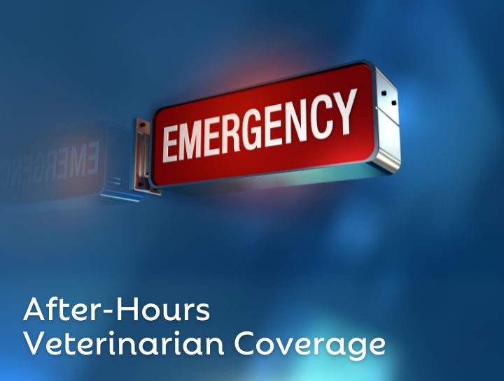 After Hours Emergency Care